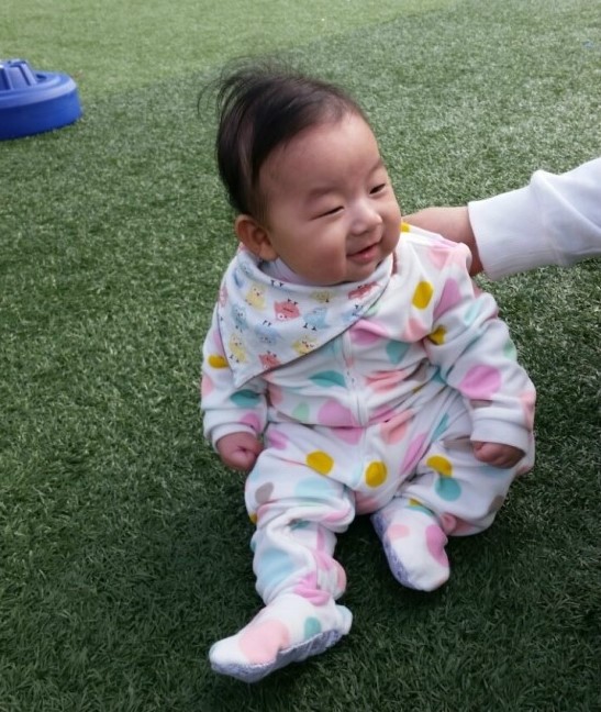 서울대청초등학교 이미지