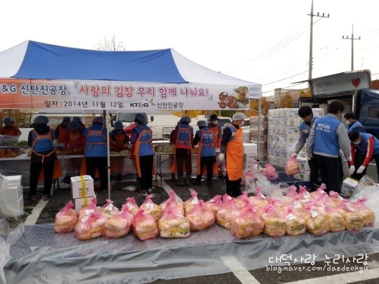 한국타이어빛과소금 이미지