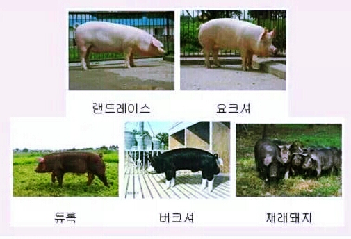 (주)21세기 이미지