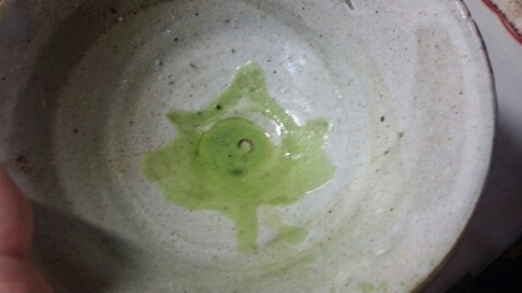 다견원 이미지