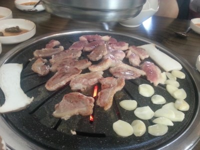 다 오리 이미지