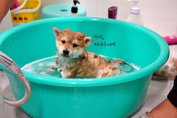 봉자빨래 이미지