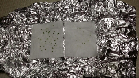 겜마 이미지