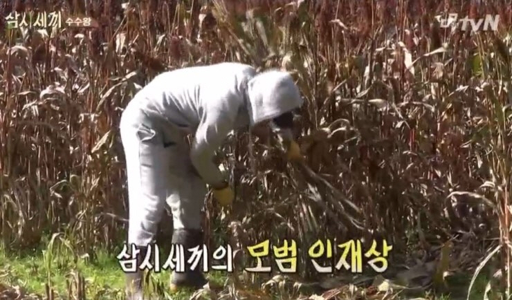 진일기획 이미지