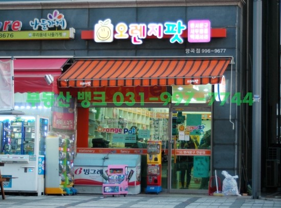 오렌지팟 이미지