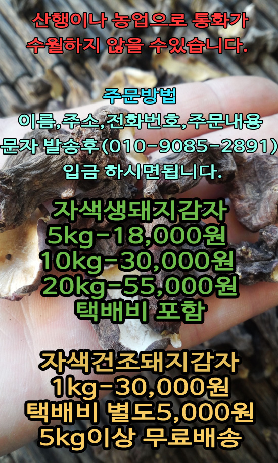 홍천노내골농장 이미지