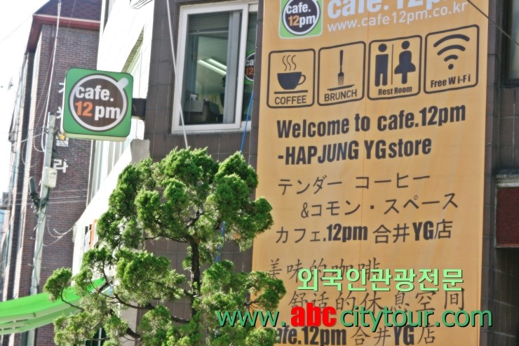 YG국제여행사 이미지