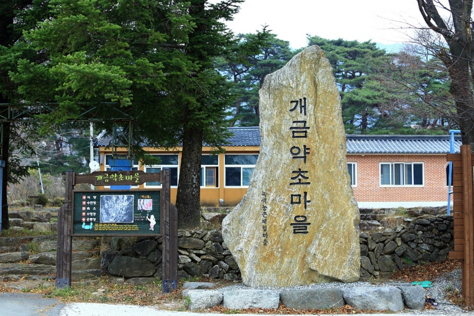 개금약초 이미지