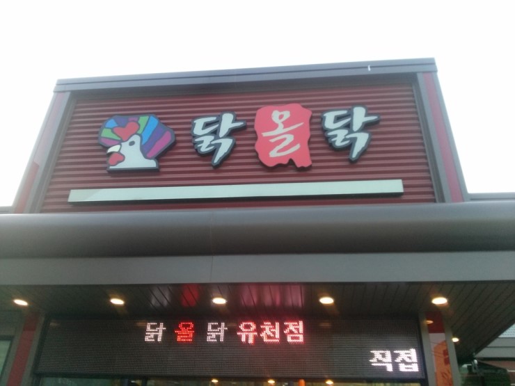 닭올닭 이미지