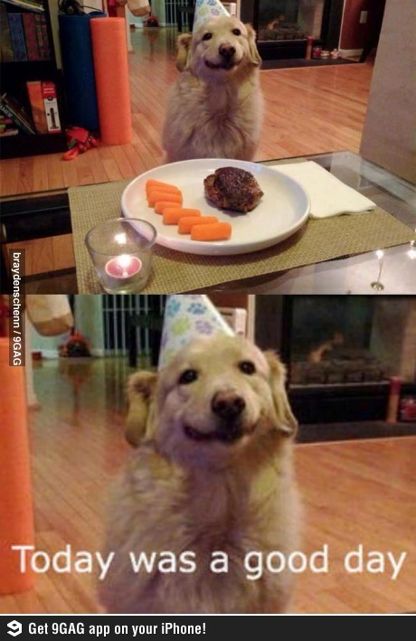 생일이개 이미지