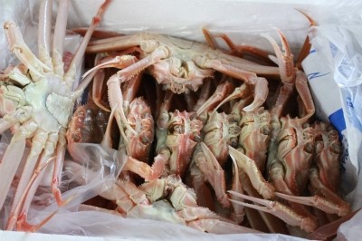 안녕수산 이미지