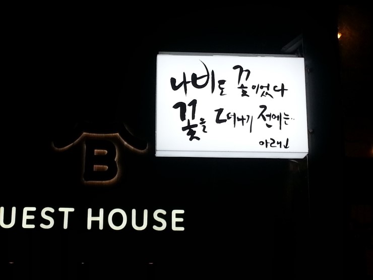 나비도꽃이었다 이미지