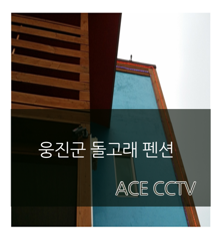 에이스CCTV 이미지