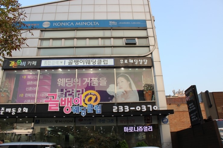 마로니쥬얼리 이미지