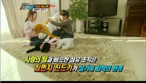 우진CS 이미지