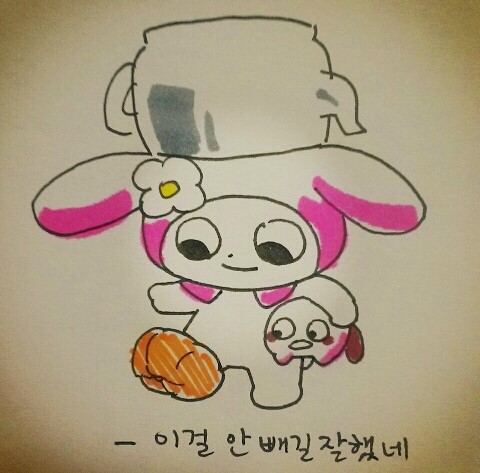 마이메그 이미지