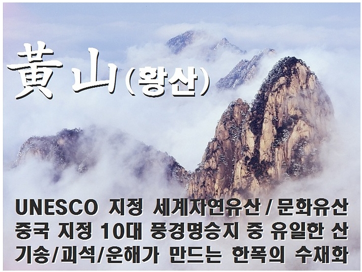 푸른항공여행사 이미지
