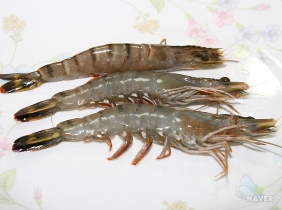 대하마트 이미지