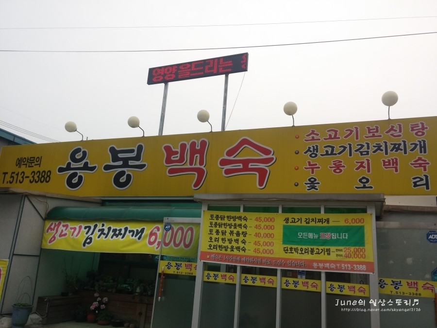 용봉백숙 이미지