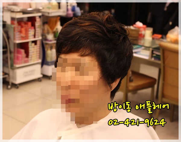 애플헤어 이미지