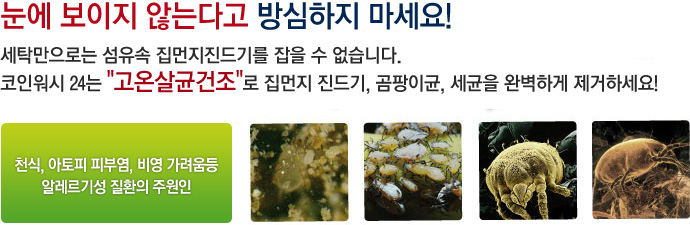 코인워시24시 이미지