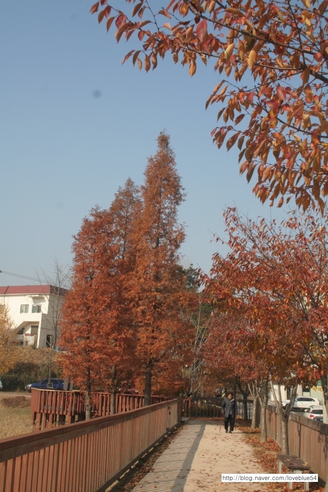 화성국민체육센터 이미지