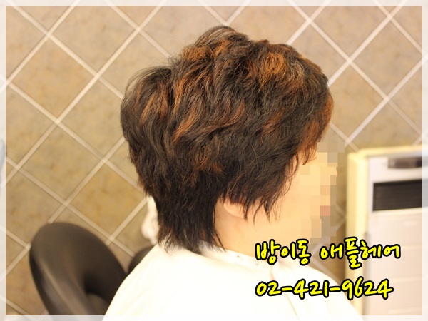 애플헤어 이미지
