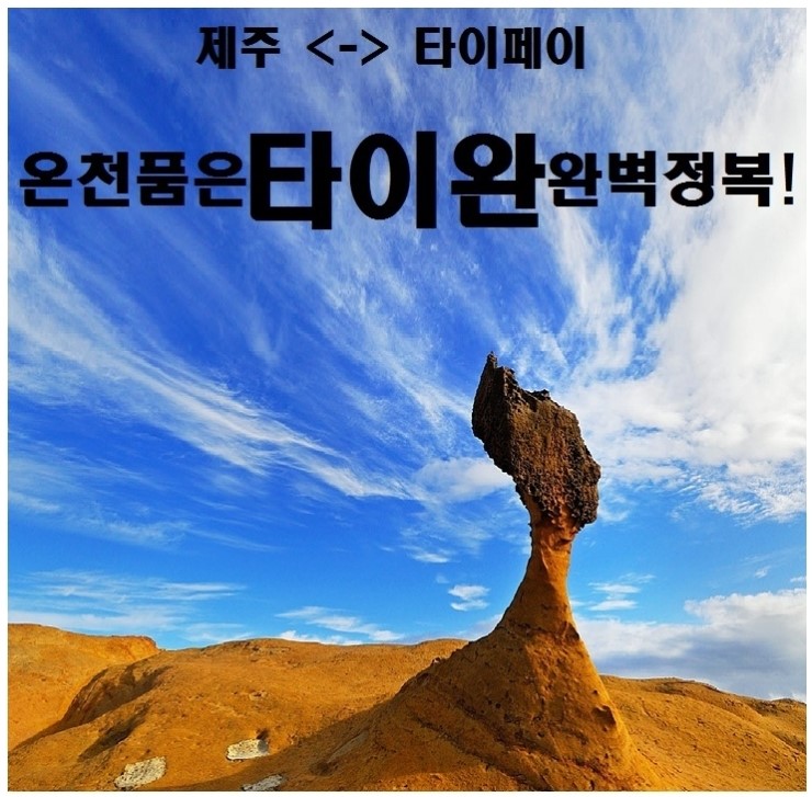 푸른항공여행사 이미지