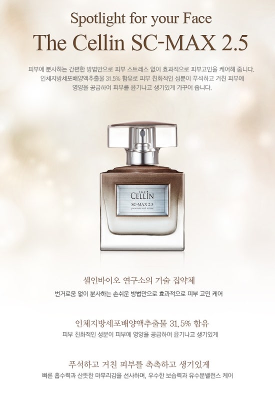 더셀주 이미지