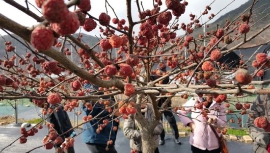 한울농원 이미지