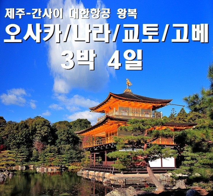 푸른항공여행사 이미지