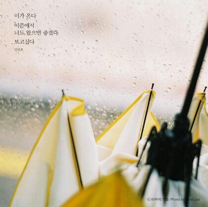 마이뷰 이미지