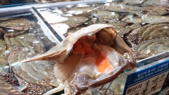 충남상회 이미지