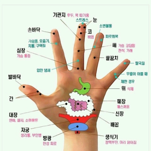 플로라네일 이미지