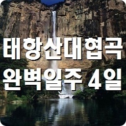 푸른항공여행사 이미지