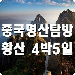 푸른항공여행사 이미지