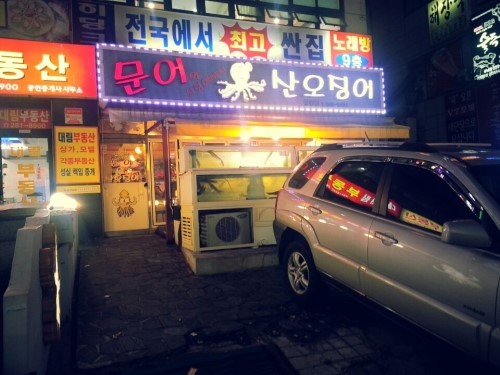 청정산오징어 이미지