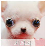 올망졸망 이미지