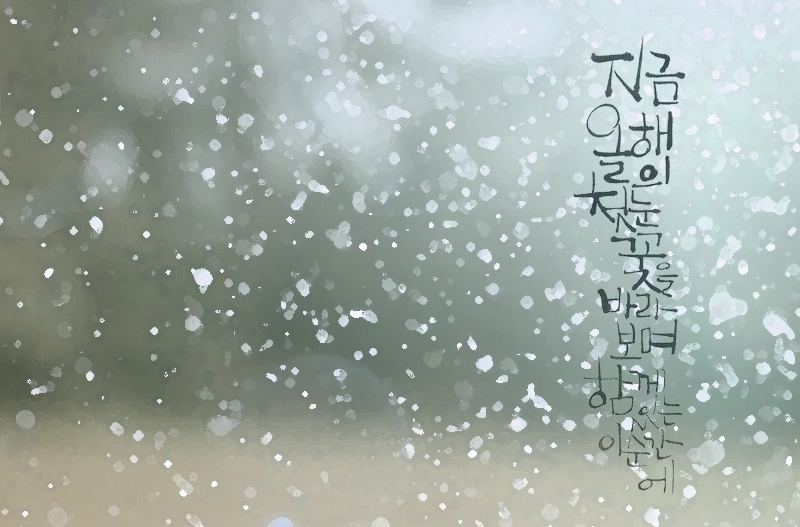 수니아트 이미지