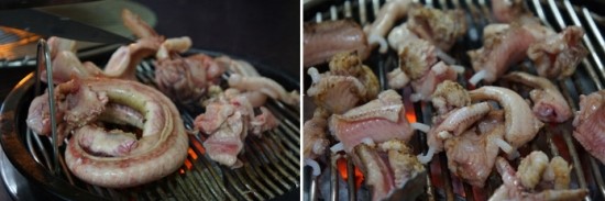 산꼼장어 이미지