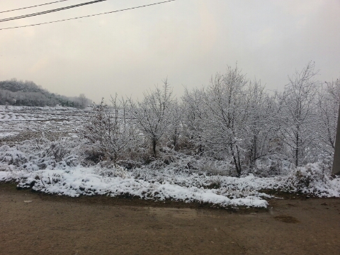 이와서 이미지