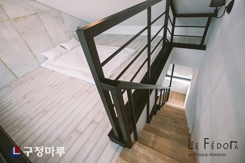 페도라팬션 이미지