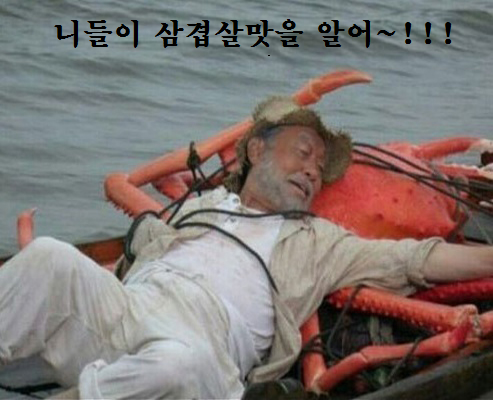 명량돼지 이미지