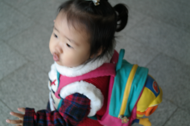 콩가듀에 이미지