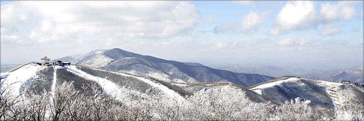 야베스스키샵 이미지