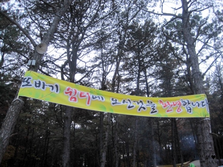 또바기캠핑장 이미지