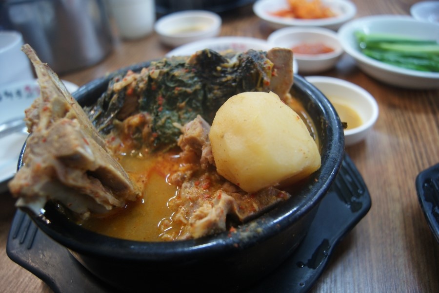 광화문 뚝감 이미지