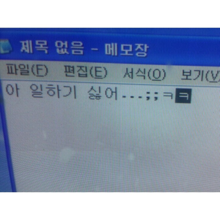 엄마손대구탕 이미지