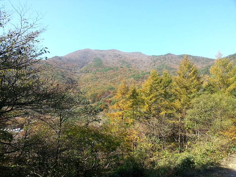 국립오서산자연휴양림 이미지