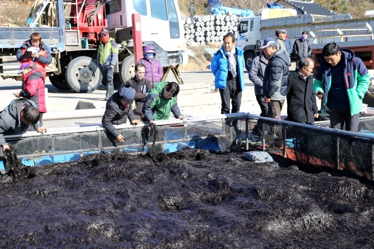 풍년김밥 이미지